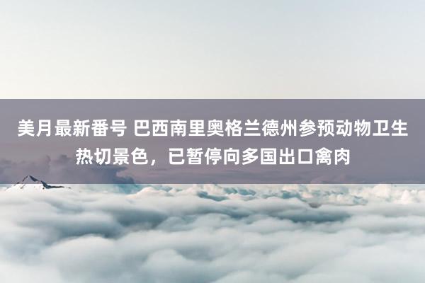 美月最新番号 巴西南里奥格兰德州参预动物卫生热切景色，已暂停向多国出口禽肉