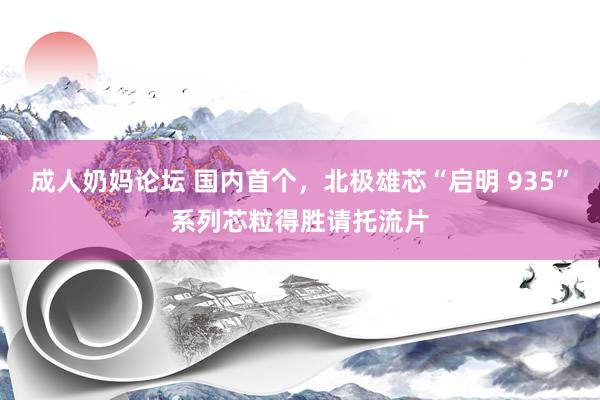 成人奶妈论坛 国内首个，北极雄芯“启明 935”系列芯粒得胜请托流片