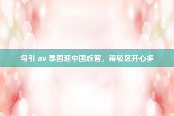 勾引 av 泰国迎中国旅客，辩驳区开心多