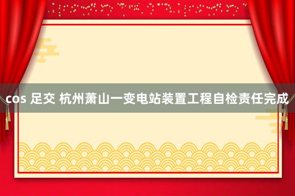cos 足交 杭州萧山一变电站装置工程自检责任完成