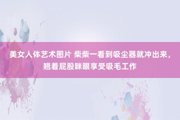 美女人体艺术图片 柴柴一看到吸尘器就冲出来，翘着屁股眯眼享受吸毛工作